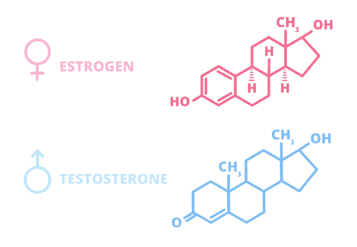 Hormone Imbalance