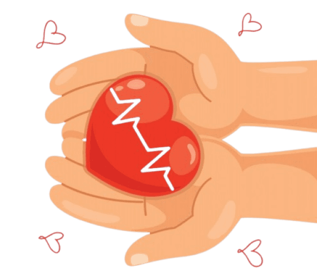 Cardiovascular Cardiovascular