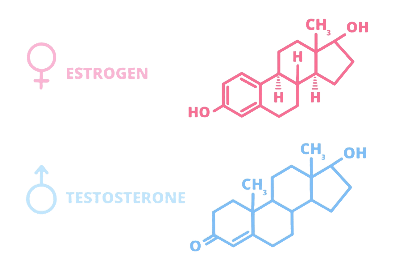 Hormone Imbalance Hormone Imbalance