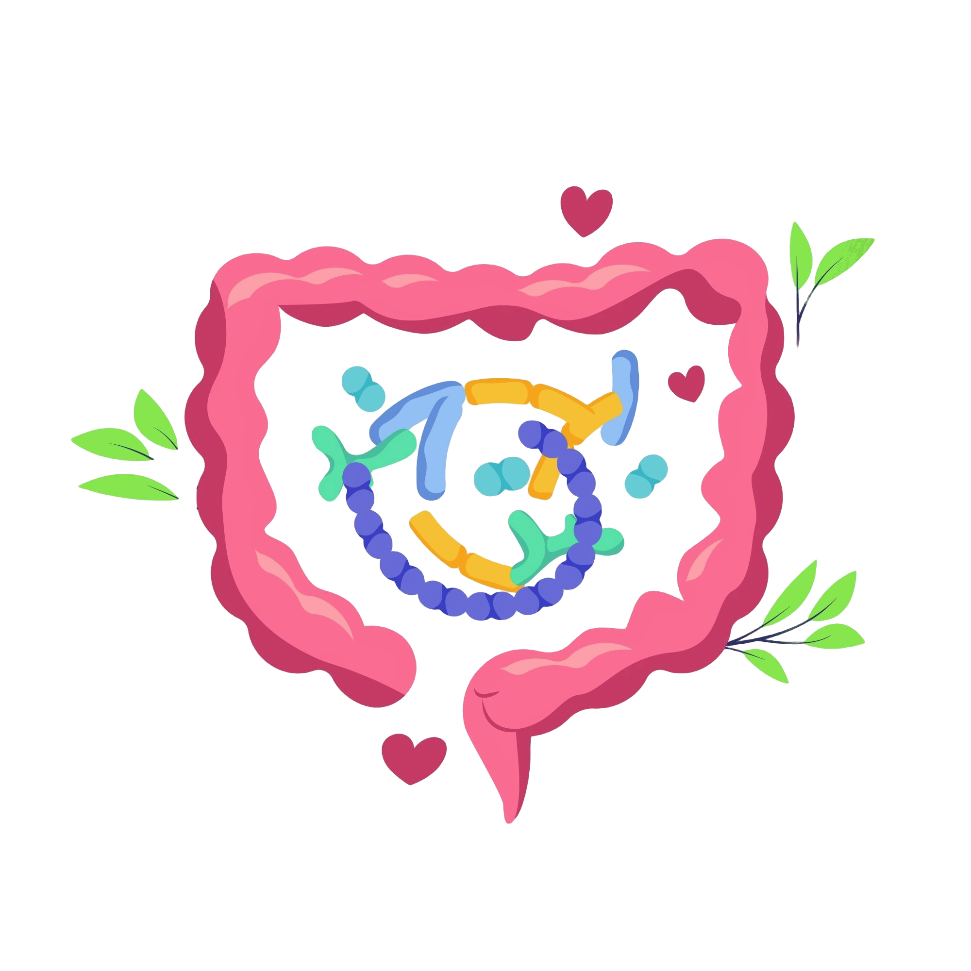 Gut Health Gut Health