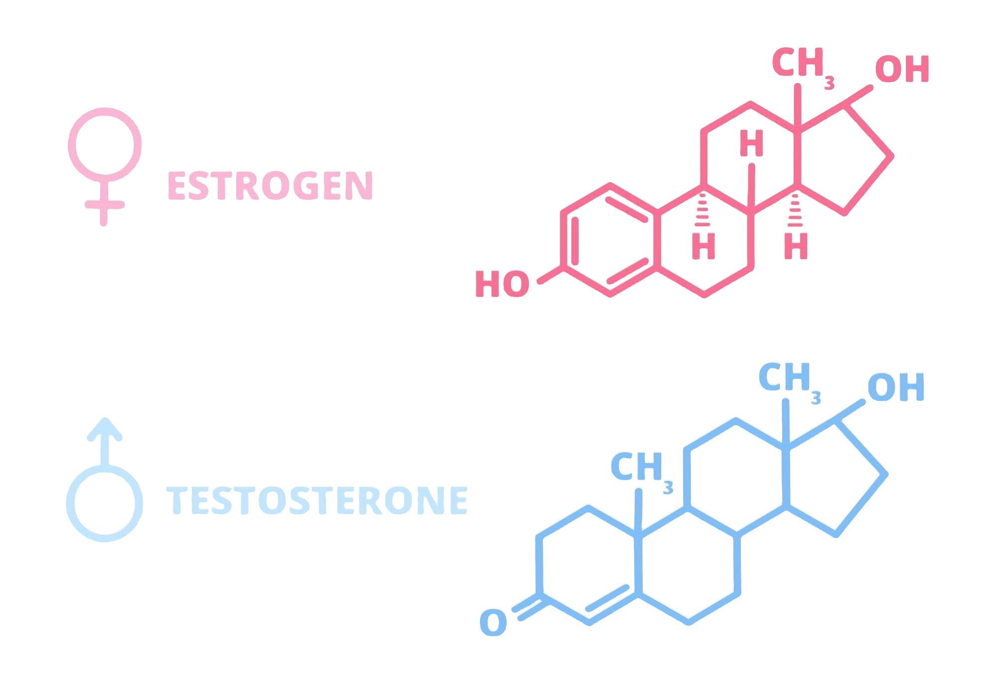 Hormone Imbalance Hormone Imbalance