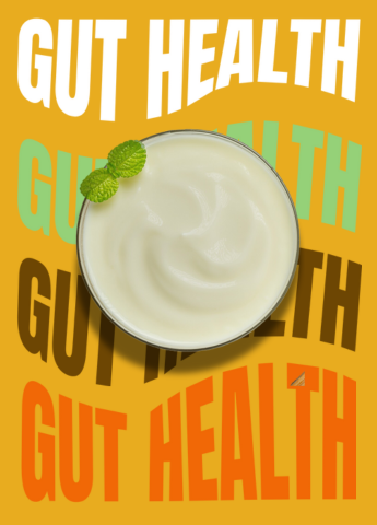 Gut Health Gut Health